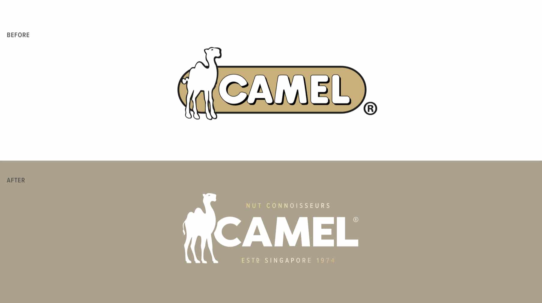 Camel – Kousah And Co